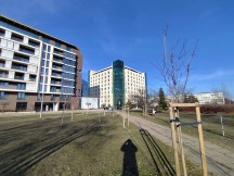 Xiaomi Redmi Note 13 Pro: ultrawide - f/2.2, ISO 50, 1/1854s - News 24 04 Xiaomi Redmi Note 13 Pro vs. Xiaomi Poco X6 Pro review