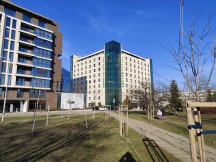 Xiaomi Redmi Note 13 Pro: main - f/1.6, ISO 50, 1/1263s - News 24 04 Xiaomi Redmi Note 13 Pro vs. Xiaomi Poco X6 Pro review