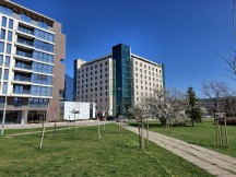 Samsung Galaxy A55: 12.5MP main camera samples - f/1.8, ISO 50, 1/2551s - Samsung Galaxy A55 vs. Galaxy A54 review