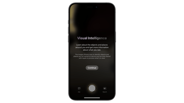 iPhone screen displaying 'Visual Intelligence' with text about identifying objects and places.