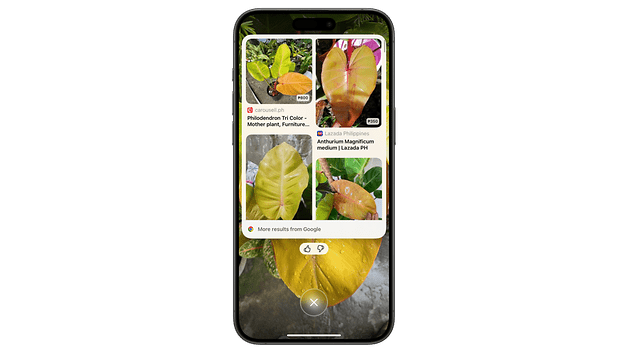 A smartphone displaying various plant images and information on a green background.