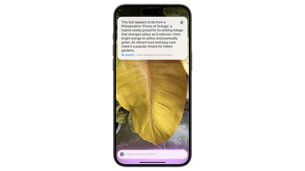 A smartphone displaying a close-up of a yellow leaf with text identifying it as a Philodendron 'Prince of Orange.'