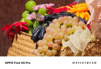 Oppo Find X9 Pro: Crop