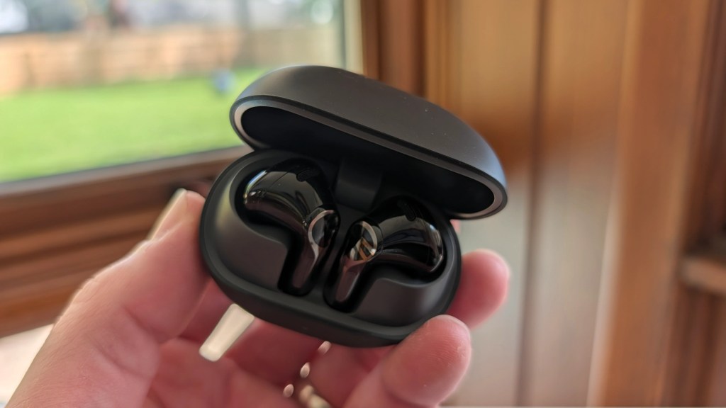 A person holding a black earbuds case with the lid open, revealing two wireless earbuds inside, with a blurred background of a window and outdoor greenery.